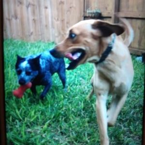 Meet your Posher, Jon